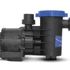 Bomba P/ Piscina C/ Pré Filtro Autoescorv 1/3cv 127v Syllent