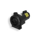 Bomba Para Hidromassaegem 2cv Jacuzzi Mono 110/220v 2tq-m