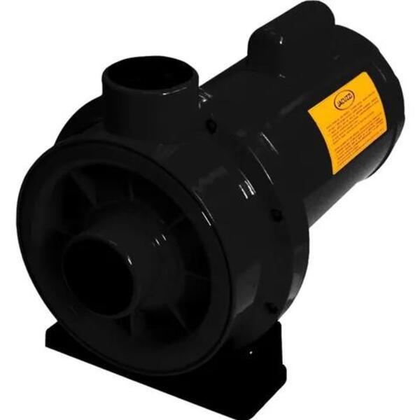 Bomba Para Hidromassagem 15tq-t (1.5cv) Trifásica Jacuzzi