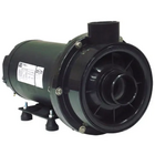 Bomba Para Hidromassagem Dancor Chs-17 2 Cv Trifasica 220v/38