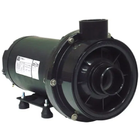 Bomba Para Hidromassagem Dancor Chs-22 2 Cv Trifasica 220v/38