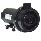 Bomba Para Hidromassagem Dancor Chs-22 3cv Trifasica 220v/380v