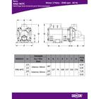 Bomba Para Hidromassagem Dancor Had-7 1cv Monofasica 127v/220v