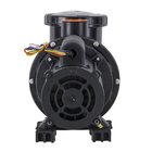 Bomba para Piscina Autoescorvante Pratika PF-17 1CV Bivolt Dancor