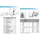Bomba Para Piscina Com Pré-filtro 3/4 Cv