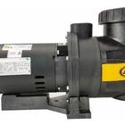 Bomba Para Piscina Jacuzzi 15b Com Pré-filtro 1 1/2cv Trifási