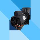 Bomba Para Piscina Jacuzzi 7a Com Pré-filtro 3/4cv Mono