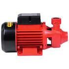 Bomba Periférica 1hp 127/220v 1x1'' Worker