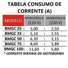 Bomba Piscina 3/4cv Bmgc 75 C/ Eixo Inox 316 - Sodramar