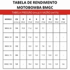 Bomba Piscina 3/4cv Bmgc 75 C/ Eixo Inox 316 - Sodramar