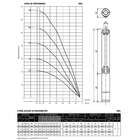 Bomba Submersa Ebara 3bps2-14   3/4 Cv Monofásica - 220 V
