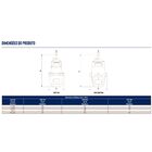 Bomba Vibratória Lg Schneider Vipo-750 300w Sapo - 220 V