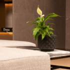 Bomboniere Em Vidro Marsala Mart 10377