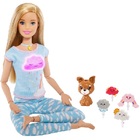 Boneca Barbie Medita Comigo Mattel Gnk01