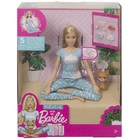 Boneca Barbie Medita Comigo Mattel Gnk01
