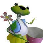 Boneco Sapo Com Balde De Flor Para Enfeite E Decoraçao De Jar