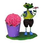 Bonecos Casal Ferro Sapo Com Balde De Flor Enfeite E Decoraca