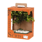 Bonsai Fruta Vaso 1,1L