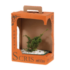 Bonsai Jovem Pote 15 Planta Natural