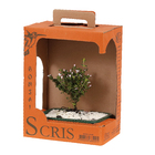 Bonsai Jovem Vaso 1,1L