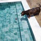 Borda Atérmica Piscina 50x20x1,5cm Malibu Champagne Areia De