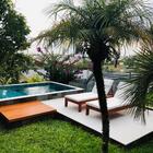 Borda Piscina Atérmica SW 100% Boleada 50x25x2,0cm Champagne