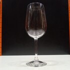 Bormioli Rocco Riserva Taça Vinho 23x9x9cm 540ml Cristal Tran