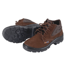 Bota de Segurança Fechamento em Cadarço N°37 Couro Nobuck com Bico de Conformação Plástico Dexter