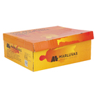 Bota Premier TPU Bico Plástico Preto 38 Marl