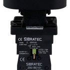 Botão Duplo Liga/desliga Iluminado 220v - Xb2-ebw8365