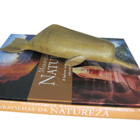 Boto em Madeira G 28 cm - Margens do Rio Negro/AM