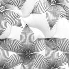 Box Baú Viúva Bipartido Especial Marrom + Colchão  Molas - Ca