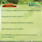 Bravick Fungicida 10ml