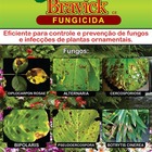 Bravick Fungicida 10ml