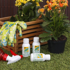 Brilha Folha 50ml Dimy