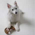 Brinquedo Benebone Dental Chew Bacon P