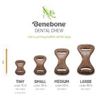 Brinquedo Benebone Dental Chew Bacon P