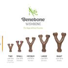 Brinquedo Benebone Wishbone Bacon M