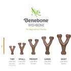 Brinquedo Benebone Wishbone Frango G