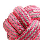 Brinquedo Bola De Cachorro Em Corda Rosa 6cm - Casambiente Pe