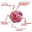 Brinquedo Bola De Cachorro Em Corda Rosa 6cm - Casambiente Pe