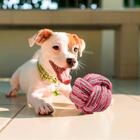 Brinquedo Bola De Cachorro Em Corda Rosa 6cm - Casambiente Pe