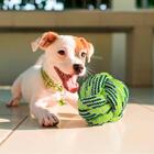 Brinquedo Bola De Cachorro Em Corda Verde 8cm - Casambiente P