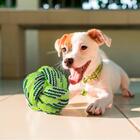 Brinquedo Bola De Cachorro Em Corda Verde 8cm - Casambiente P