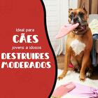 Brinquedo Bola Spiral Para Cães