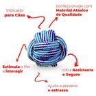 Brinquedo Bolinha Para Cachorro De Corda Azul 6cm - Casambien
