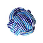 Brinquedo Bolinha Para Cachorro De Corda Azul 6cm - Casambien