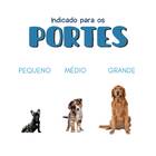 Brinquedo Buddy Toys Cenoura Nylon