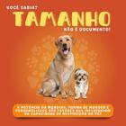 Brinquedo Buddy Toys Graveto Flex