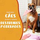 Brinquedo Buddy Toys Graveto Flex